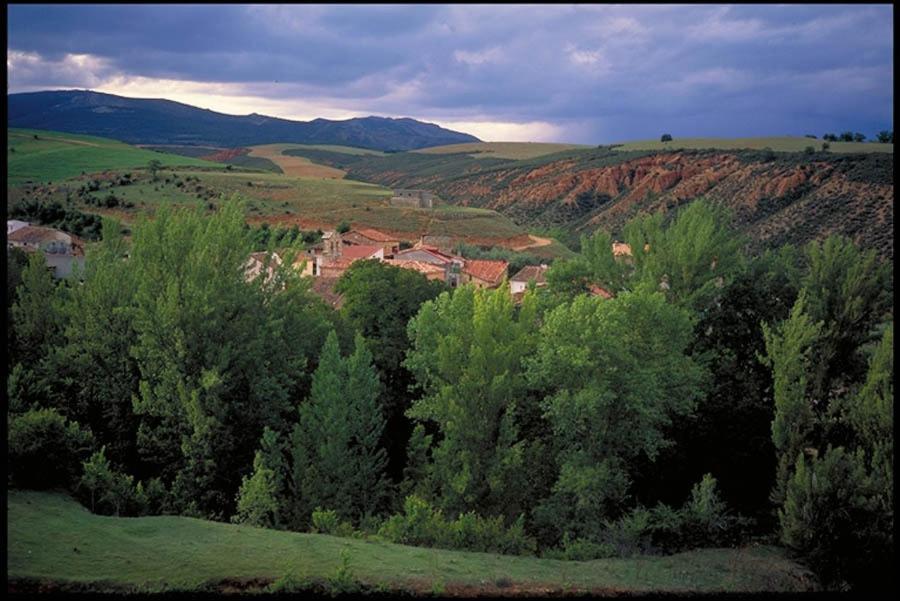 منزل الضيف El Rincon De Monasterio الغرفة الصورة